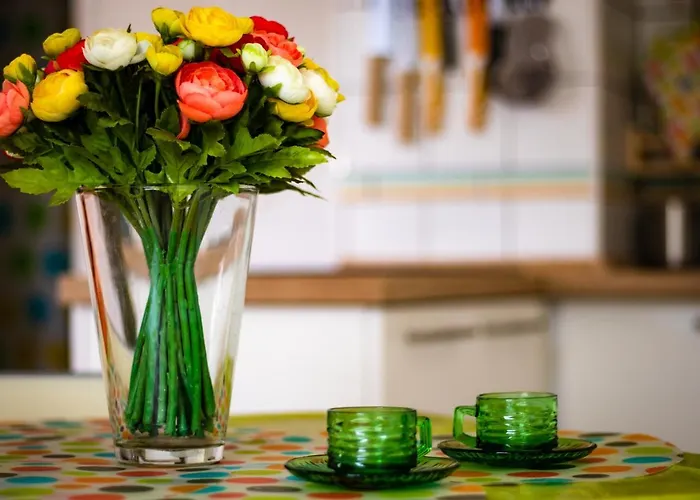 Nefelejcs Apartmanhaz * Gyenesdiás